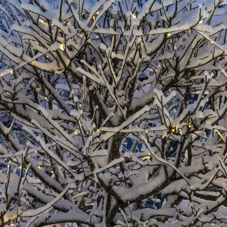Pakkasella kotikaupunki kauniina