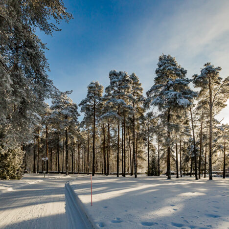 Ruokapöytään vaihtelua – ”nettiruokaa”