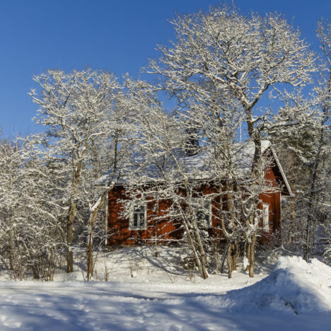 Retriitti ja humputtelua
