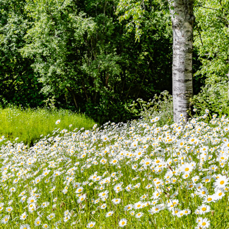 Pyöräillen kulttuuripääkaupungissa