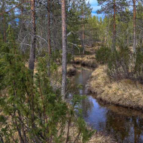 Mökkipäivä