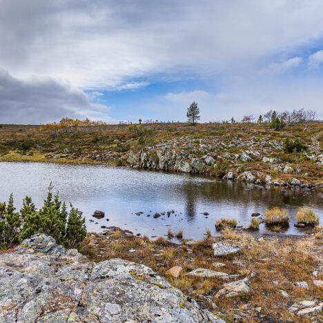 Luonnon ehdoilla luonnossa