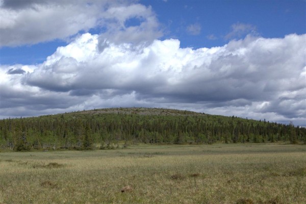 taivas kattona 2 (Custom)